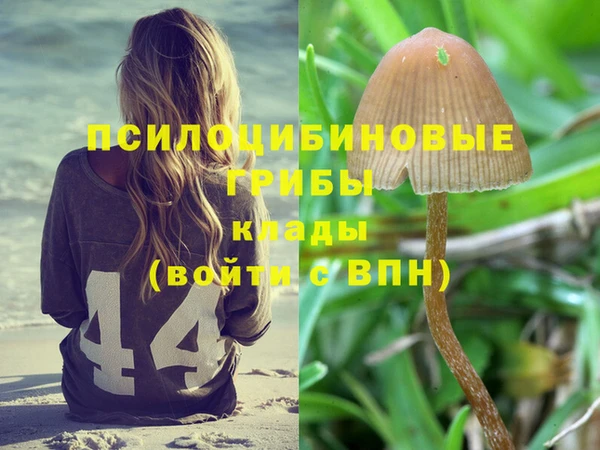 mdpv Новодвинск